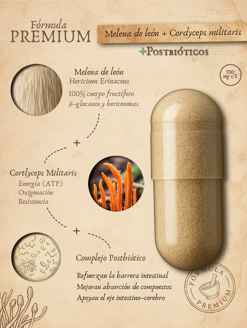 Melena y cordyceps formula premium