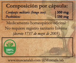 Cordyceps Militaris con Postbióticos - Imagen 2