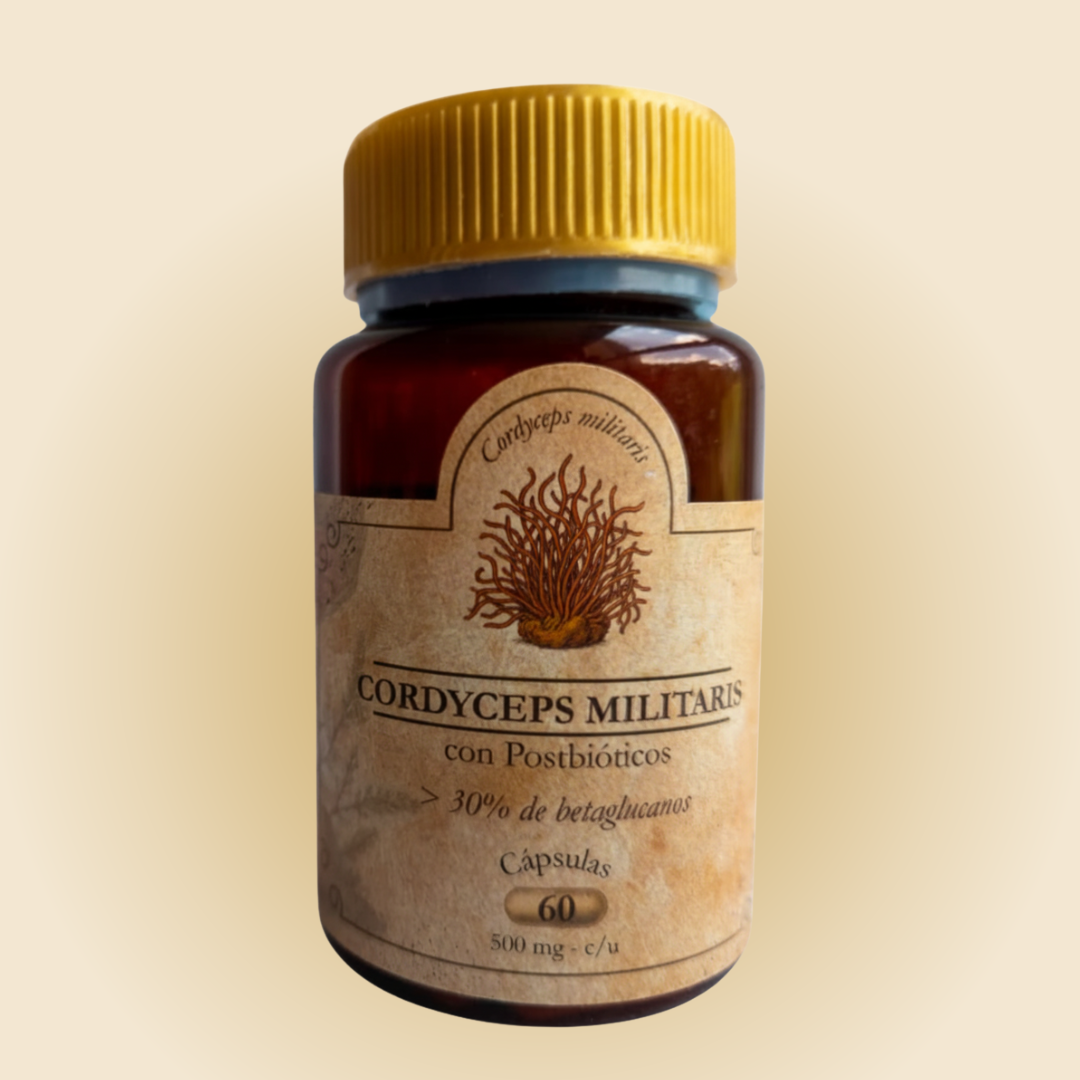 Frasco de cápsulas que contienen cordyceps militaris