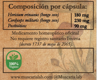 Melena de León & Cordyceps Militaris con Postbióticos - Imagen 2