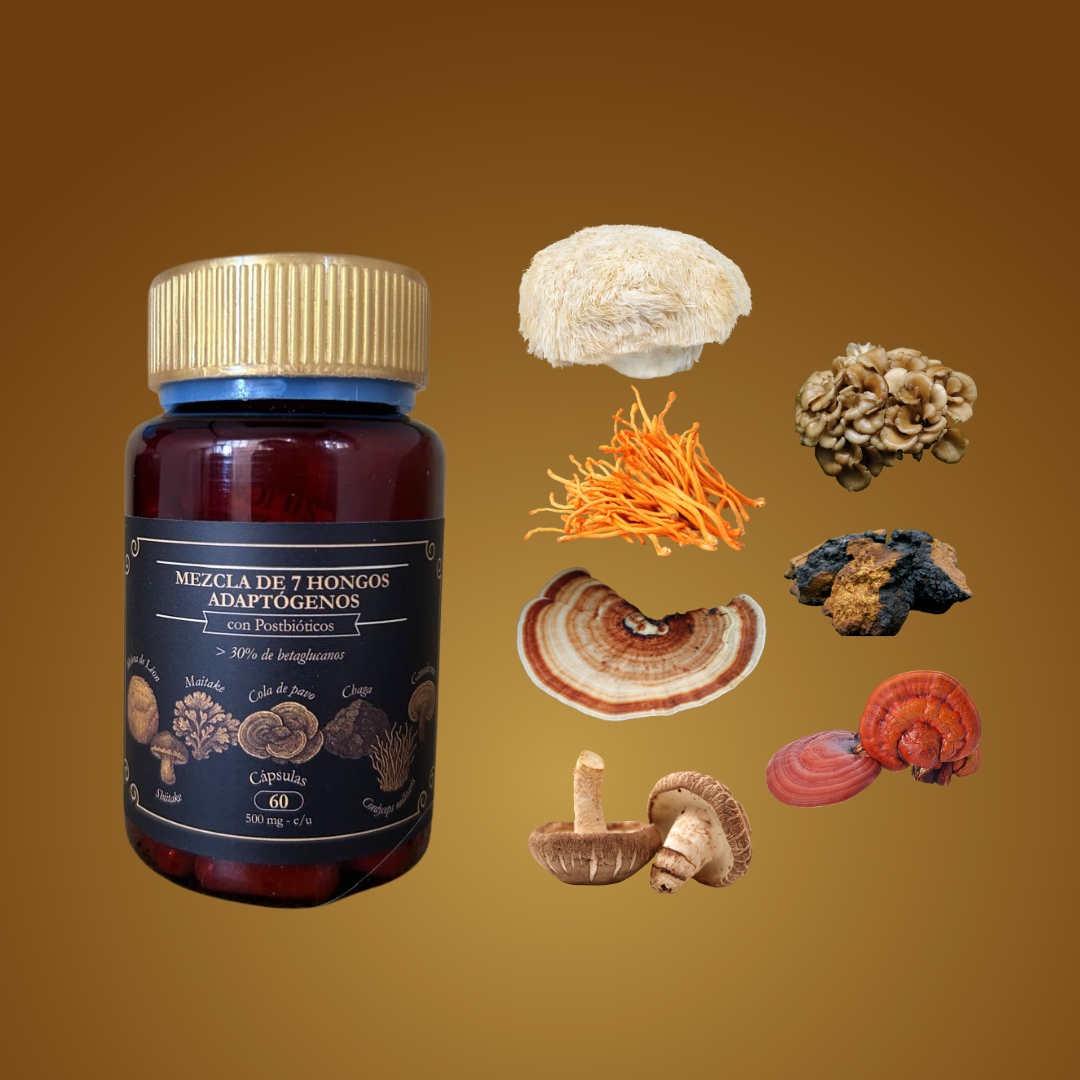 7 hongos medicinales