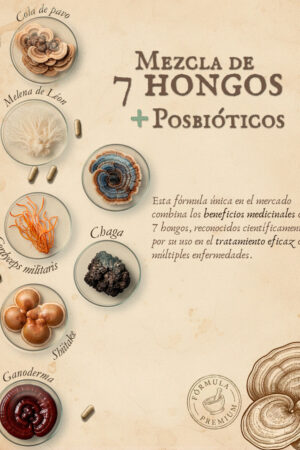 Mezcla 7 Hongos Mezcla 7 Hongos