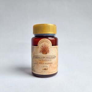 Cordyceps Militaris con Postbióticos