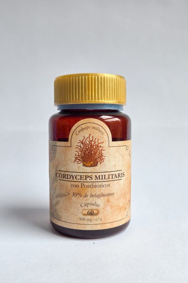 Cordyceps