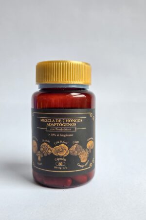 Siete hongos