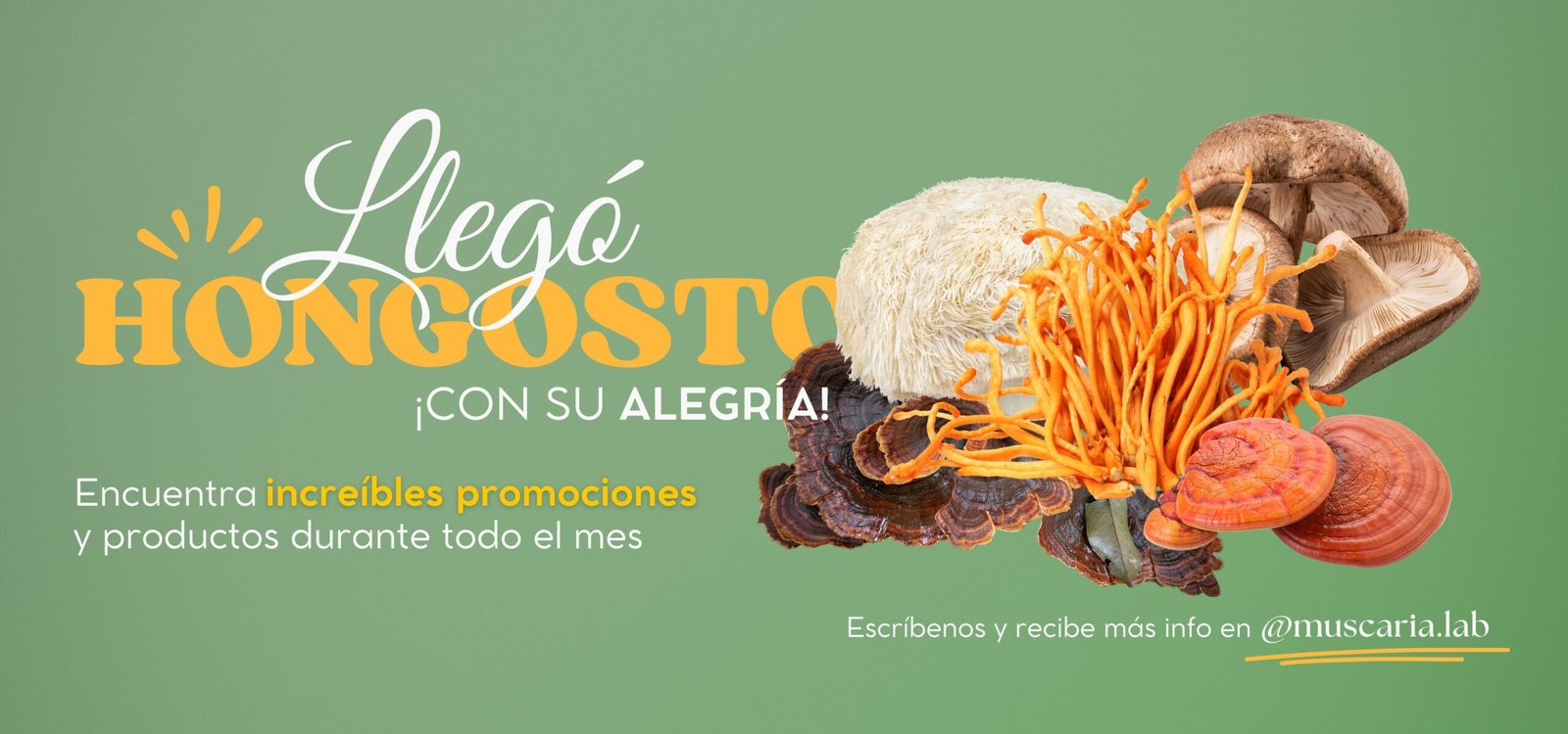 Muscaria Lab — colección destacada 1
