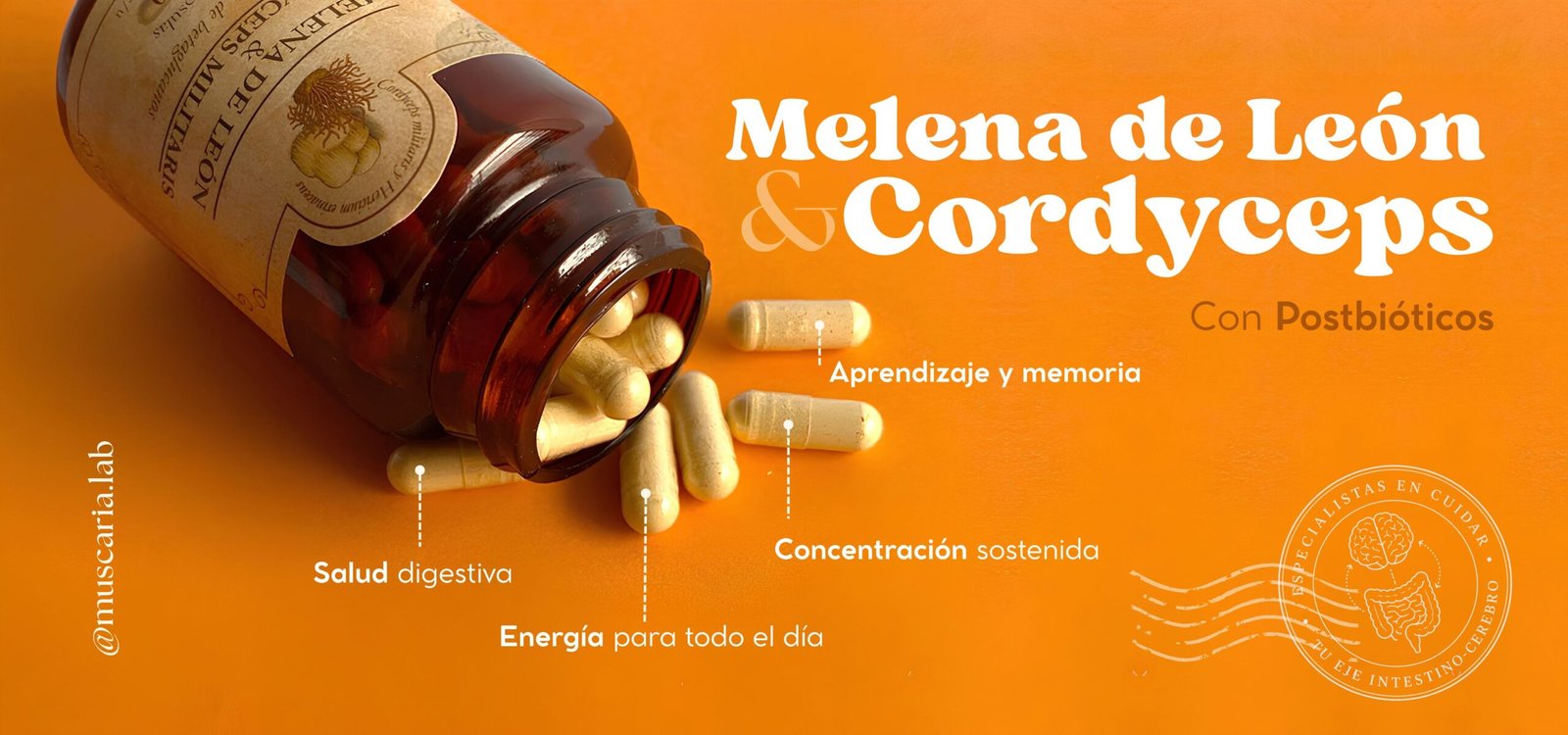 Muscaria Lab — colección destacada 2