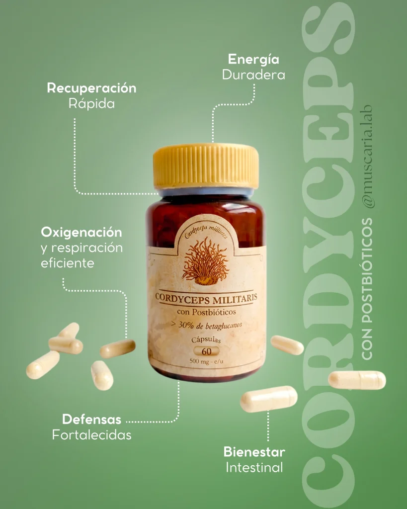 Frasco de cordyceps militaris con postbióticos de Muscaria Lab